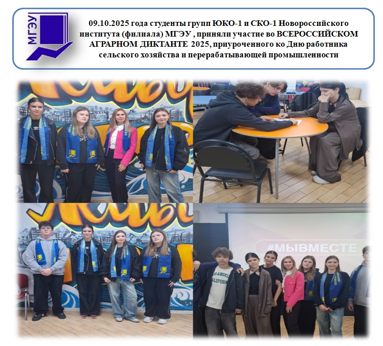 WhatsApp Image 2025-10-09 at 16.16.34.jpeg